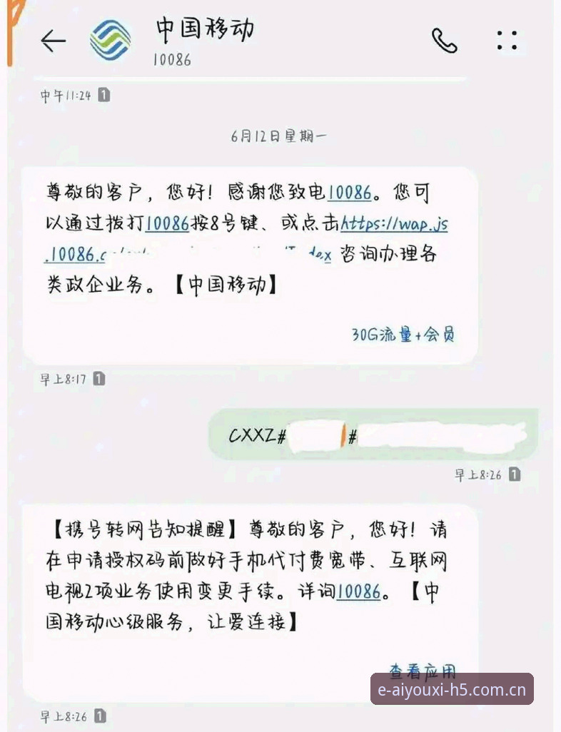 爱游戏平台新手避坑指南：中文体验直达2025官网入口安全吗？三个实测细节帮你判断